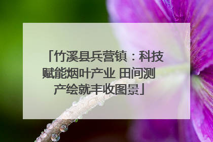 竹溪县兵营镇：科技赋能烟叶产业 田间测产绘就丰收图景