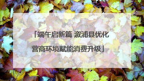 端午启新篇 溆浦县优化营商环境赋能消费升级