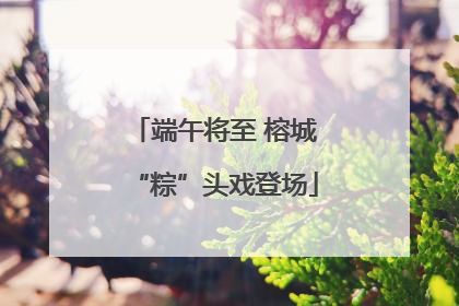 端午将至 榕城“粽”头戏登场
