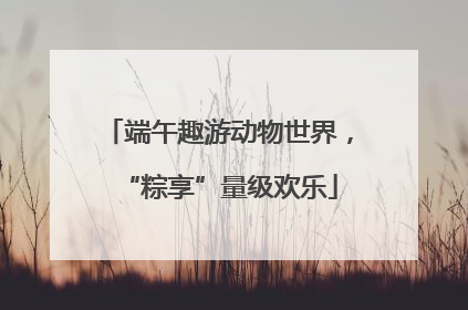 端午趣游动物世界，“粽享”量级欢乐