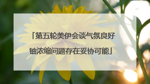 第五轮美伊会谈气氛良好 铀浓缩问题存在妥协可能