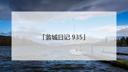 翁城日记 935