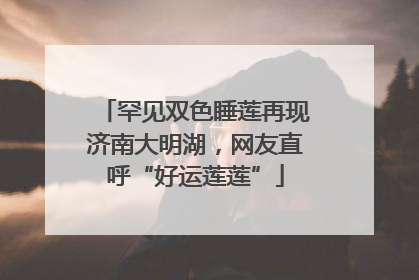 罕见双色睡莲再现济南大明湖，网友直呼“好运莲莲”