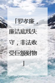 罗孝廉，廉洁底线失守，非法收受巨额财物