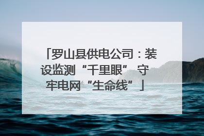 罗山县供电公司：装设监测“千里眼” 守牢电网“生命线”