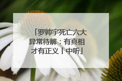 罗帅宇死亡六大异常待解：有真相才有正义丨中听