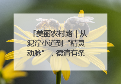 美丽农村路｜从泥泞小道到“精灵动脉”，德清有条“虾路”火了