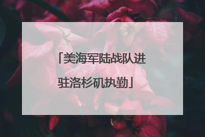 美海军陆战队进驻洛杉矶执勤