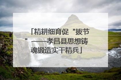 精耕细育促“拔节”——孝昌县思想铸魂锻造实干精兵