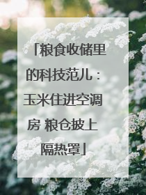 粮食收储里的科技范儿：玉米住进空调房 粮仓披上隔热罩