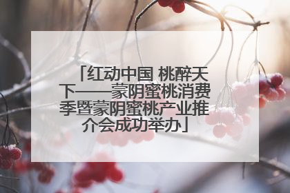 红动中国 桃醉天下——蒙阴蜜桃消费季暨蒙阴蜜桃产业推介会成功举办