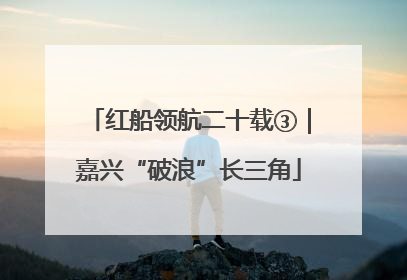 红船领航二十载③｜嘉兴“破浪”长三角