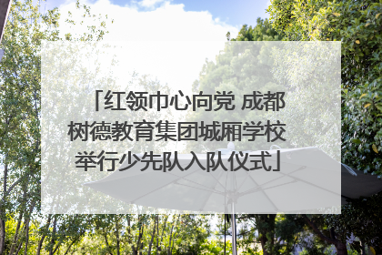 红领巾心向党 成都树德教育集团城厢学校举行少先队入队仪式