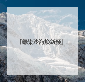 绿染沙海焕新颜