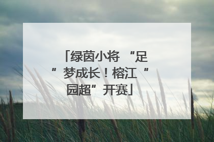 绿茵小将 “足”梦成长！榕江“园超”开赛