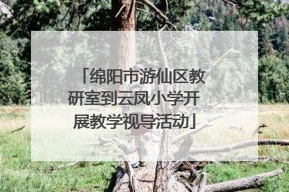 绵阳市游仙区教研室到云凤小学开展教学视导活动