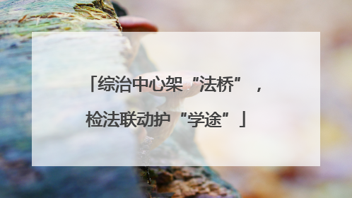 综治中心架“法桥”，检法联动护“学途”