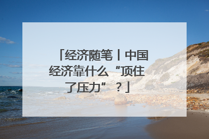 经济随笔丨中国经济靠什么“顶住了压力”？