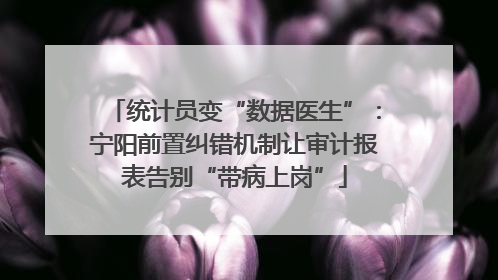 统计员变“数据医生”：宁阳前置纠错机制让审计报表告别“带病上岗”