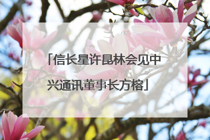 信长星许昆林会见中兴通讯董事长方榕