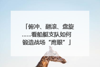 俯冲、翻滚、盘旋……看船艇支队如何锻造战场“鹰眼”