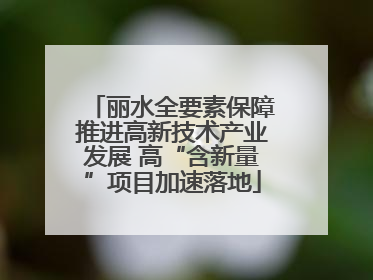 丽水全要素保障推进高新技术产业发展 高“含新量”项目加速落地