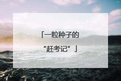 一粒种子的“赶考记”