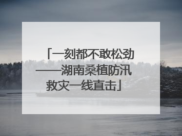 一刻都不敢松劲——湖南桑植防汛救灾一线直击