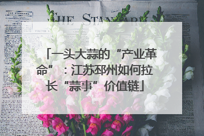 一头大蒜的“产业革命”：江苏邳州如何拉长“蒜事”价值链