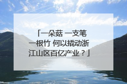 一朵菇 一支笔 一根竹 何以撬动浙江山区百亿产业？