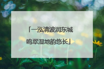 一泓清波润东城 鸣翠湿地韵悠长