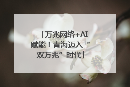 万兆网络+AI赋能！青海迈入“双万兆”时代