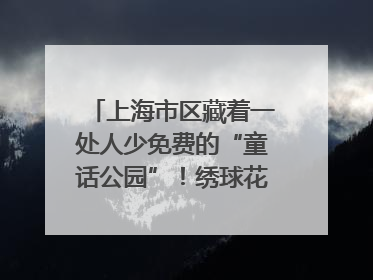 上海市区藏着一处人少免费的“童话公园”！绣球花海、金色秘境……地铁直达→