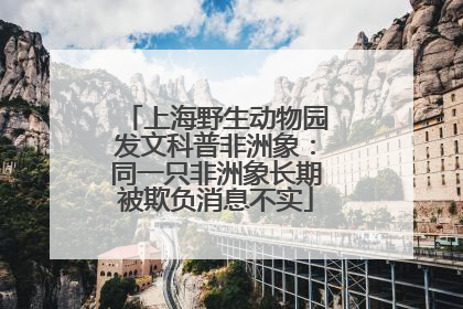 上海野生动物园发文科普非洲象：同一只非洲象长期被欺负消息不实