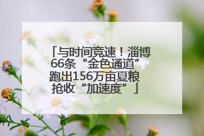 与时间竞速！淄博66条“金色通道”跑出156万亩夏粮抢收“加速度”