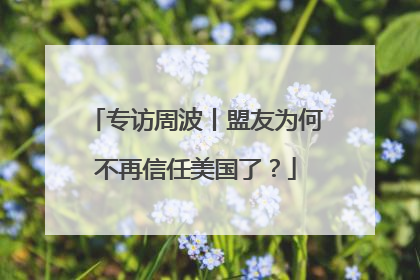 专访周波丨盟友为何不再信任美国了？