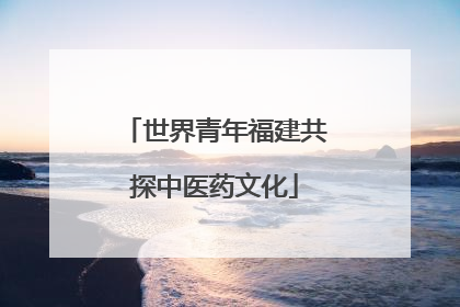 世界青年福建共探中医药文化