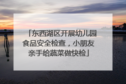 东西湖区开展幼儿园食品安全检查，小朋友亲手给蔬菜做快检