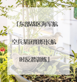 东部战区海军航空兵某团组织长航时反潜训练