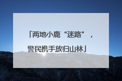 两地小鹿“迷路”，警民携手放归山林