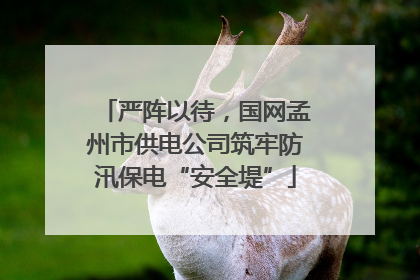 严阵以待，国网孟州市供电公司筑牢防汛保电“安全堤”