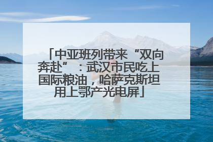 中亚班列带来“双向奔赴”：武汉市民吃上国际粮油，哈萨克斯坦用上鄂产光电屏