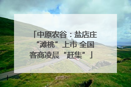 中原农谷：盐店庄“滩桃”上市 全国客商凌晨“赶集”