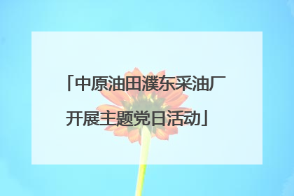 中原油田濮东采油厂开展主题党日活动