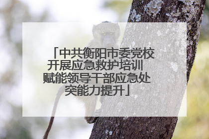 中共衡阳市委党校开展应急救护培训 赋能领导干部应急处突能力提升