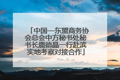 中国—东盟商务协会总会中方秘书处秘书长鹿德晶一行赴滨实地考察对接合作