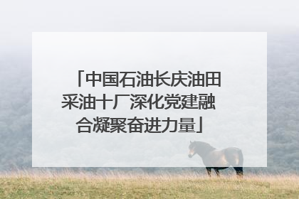 中国石油长庆油田采油十厂深化党建融合凝聚奋进力量