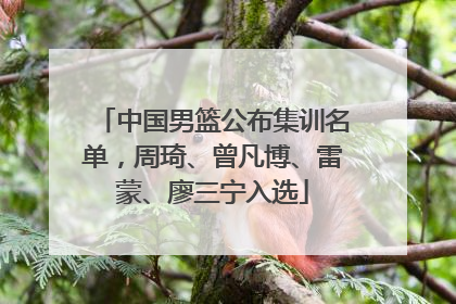 中国男篮公布集训名单，周琦、曾凡博、雷蒙、廖三宁入选