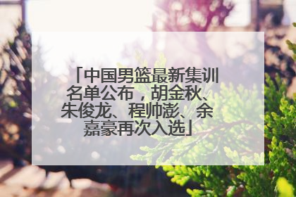 中国男篮最新集训名单公布，胡金秋、朱俊龙、程帅澎、余嘉豪再次入选