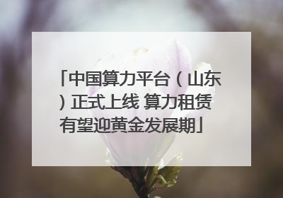 中国算力平台（山东）正式上线 算力租赁有望迎黄金发展期
